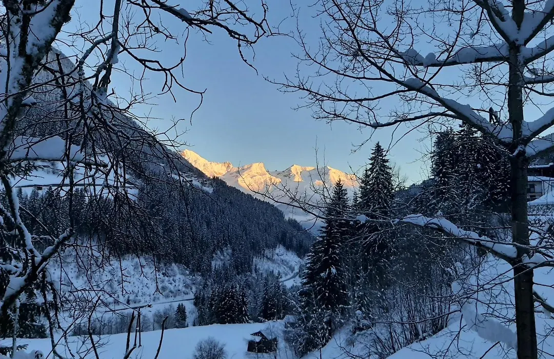 Hotel Buckelhof - See - 20 Min From Ischgl - Free Liftpass Summer-1